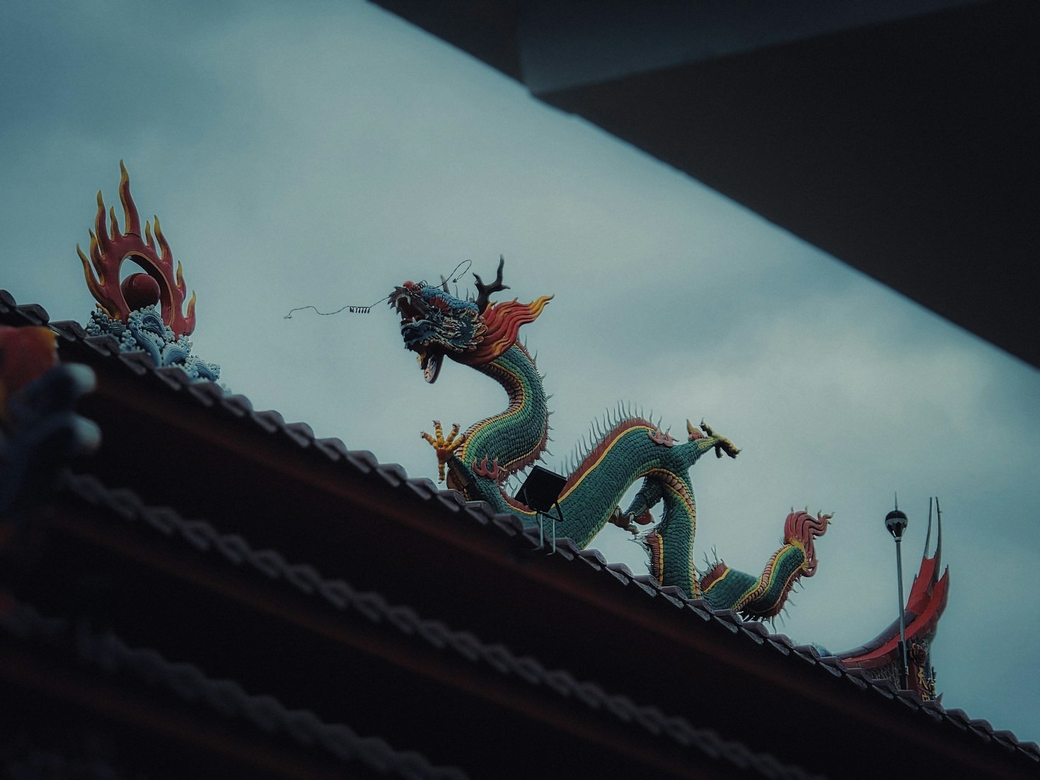 How to Share Your Dragon Adventures with Us