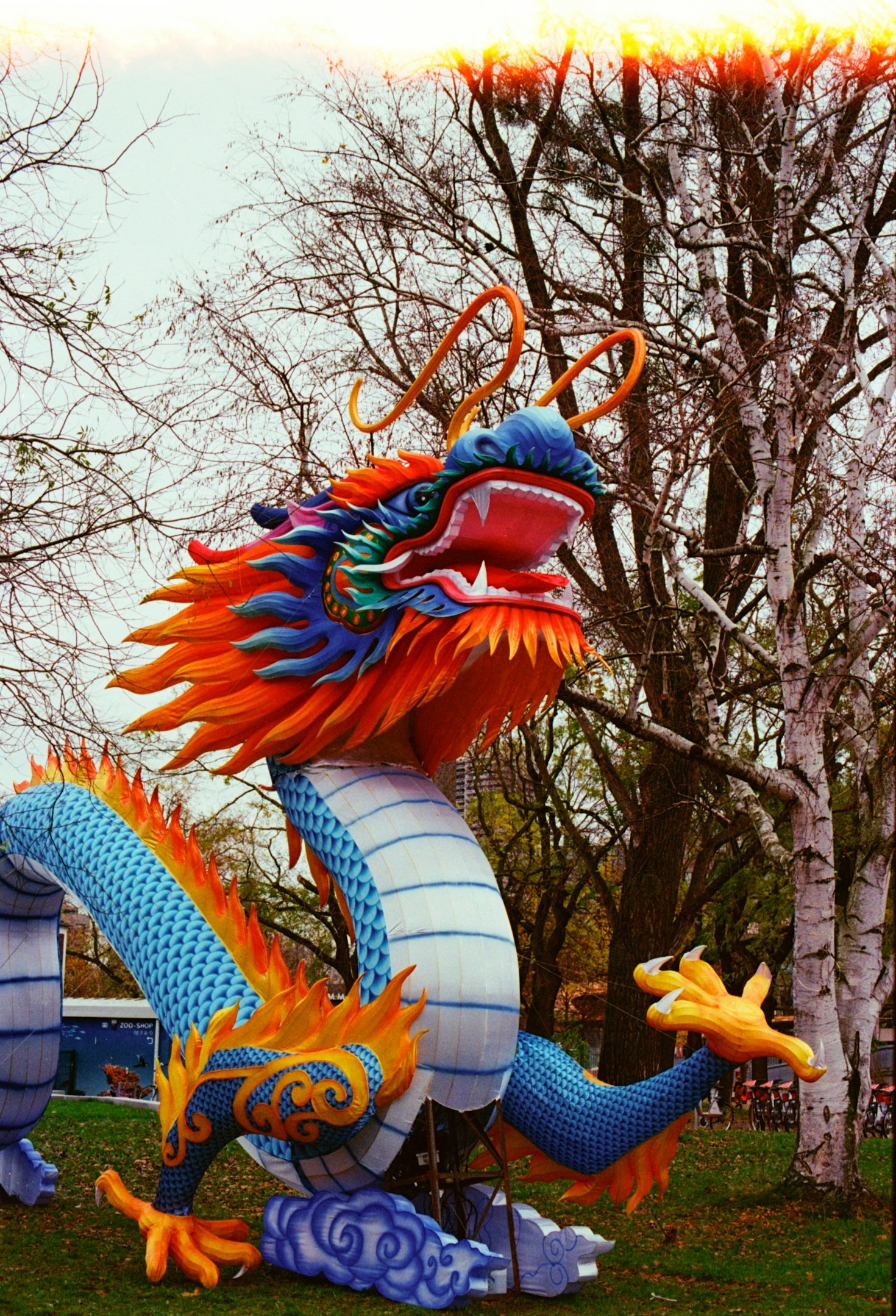 Amazing Dragon Sightings from Our Community